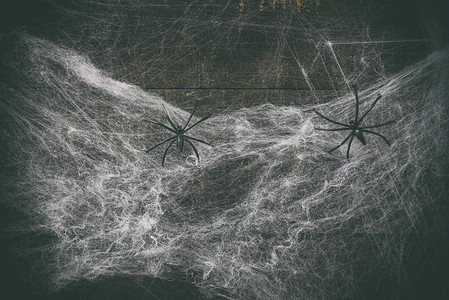 万圣节背景恐怖假日装饰蜘蛛网和黑自然的高清图片素材