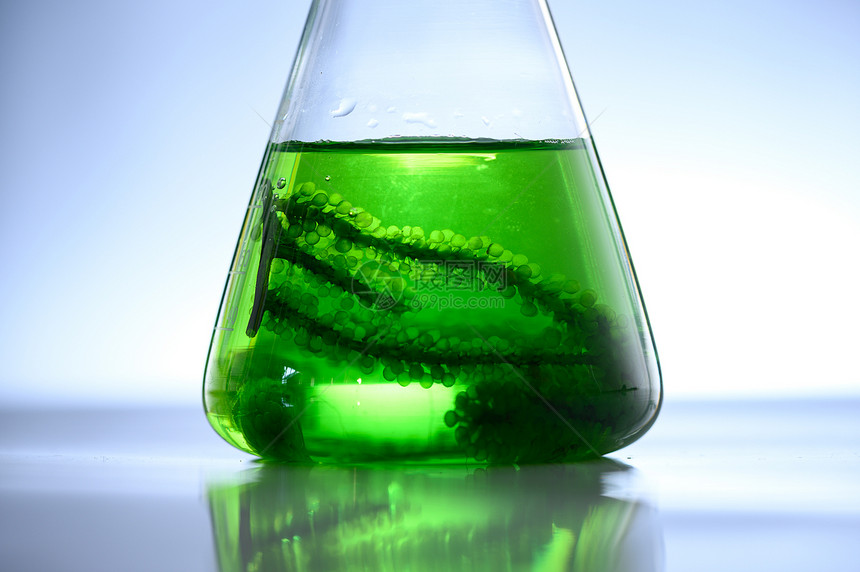 实验室藻类研究生物技术科学概念图片