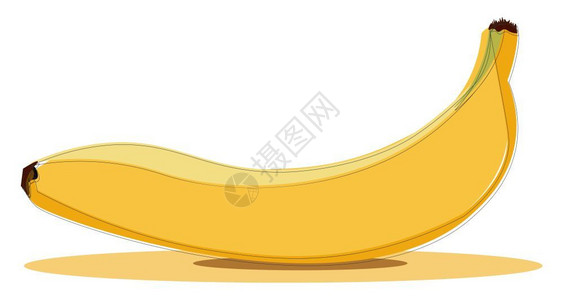 黄色香蕉向量彩色图画或的示例背景图片