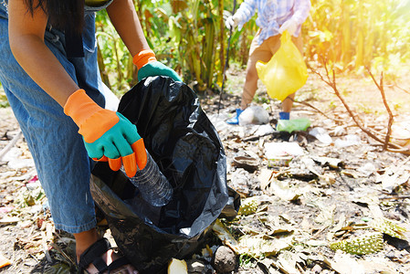 帮助保持自然清洁和从有助于环境的公园回收和废物减少技术中捡垃圾的青年妇女志愿者团体背景图片