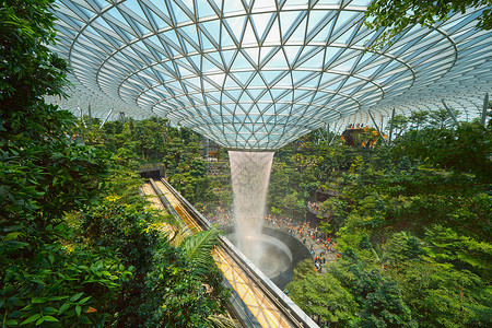 月入百万新加坡城JewelChangi机场室内设计装饰瀑布花园和树木背景