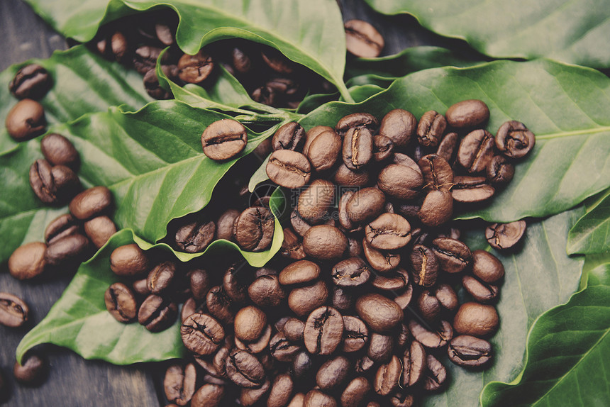 叶子上的咖啡豆深木桌底的黑层烤咖啡最高视图图片