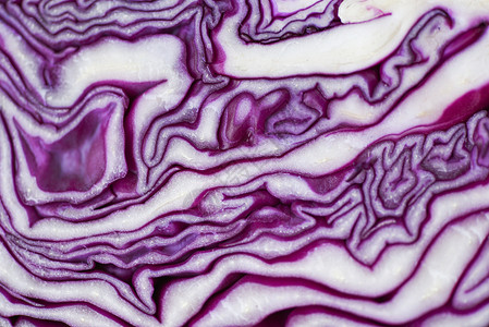 紧闭卷心菜紫色碎红卷心菜切片纹理背景图片