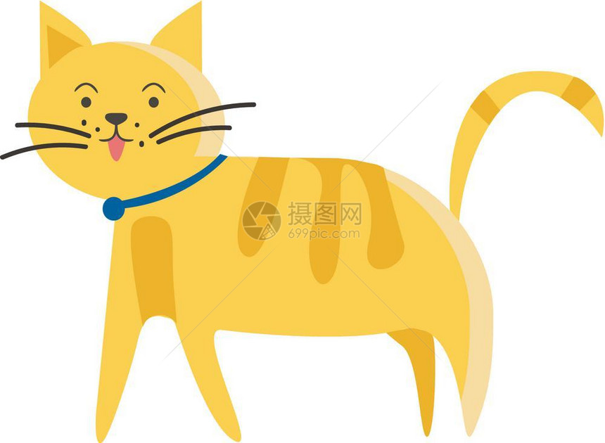 宠物小猫图片