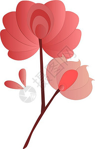 花枝处有两朵粉色瓣的矢量的颜色图画或插背景图片