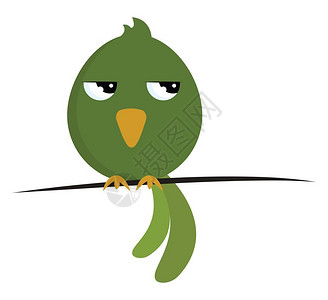 愤怒小鸟表情图一只绿色的可爱小鸟非常愤怒矢量彩色画或插图插画