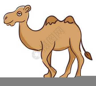 一只小骆驼矢量插画图片