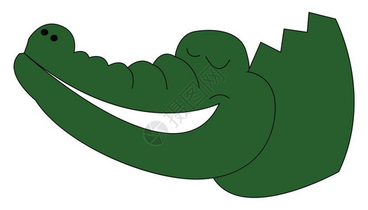 绿色鳄鱼矢量插画图片