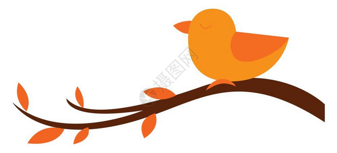 看起来就是时尚一只可爱的橙色小鸟浸在树枝上叶有奥瓦尔形的子眼睛闭着看起来很美从树的侧面矢量颜色图画或插来看插画