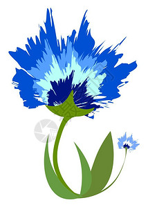 美丽的蓝色花朵矢量元素图片