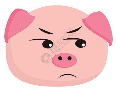 愤怒的小素材一只愤怒猪的可爱粉红色漫画只展示其脸矢量彩色绘画或插图插画