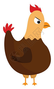 一个大公鸡面对着朝侧愤怒的外观矢量颜色图画或插图片