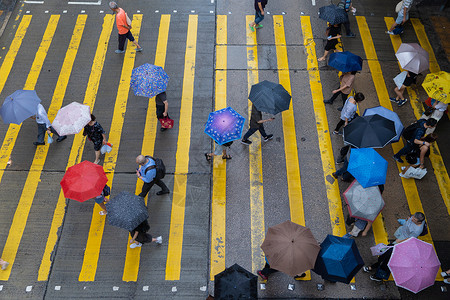 中国香港唐城斑马线视图图片