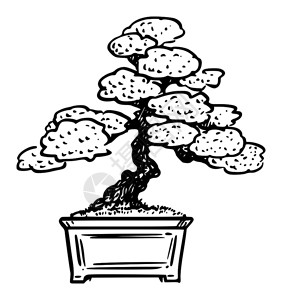 矢量卡通画绘制松盆树的概念插图矢量卡通插图Bonsai松树插图背景图片