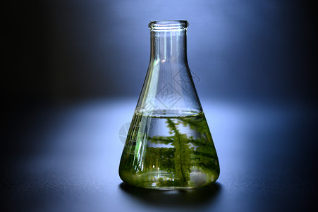 实验室藻类研究生物技术科学概念图片