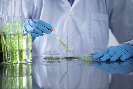 科学家在化实验室测试天然产品提取石油和生物燃料溶液背景图片