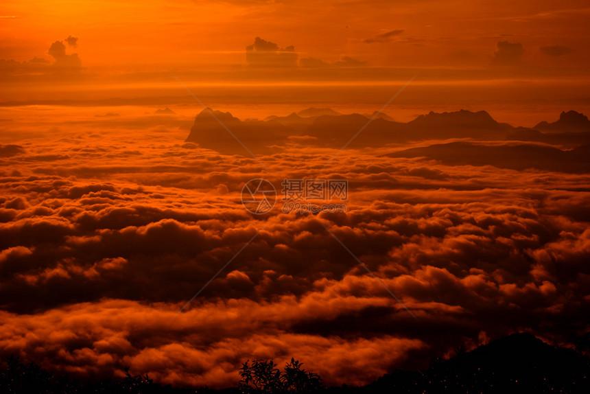 红天日出雾覆盖森林地貌山戏剧背景图片