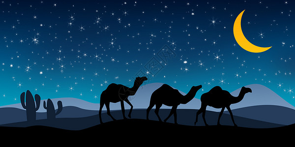 仙人掌和骆驼夜间有骆驼背影的风景3D翻转背景