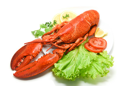 龙虾孤立的海鲜白盘上美味的海鲜柠檬椰菜和沙拉生关闭蒸龙虾食物图片
