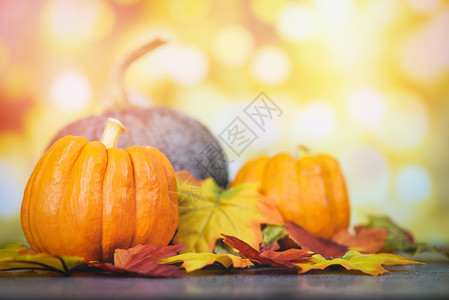 感恩节晚宴和秋天装饰及浅背景节庆活动图片