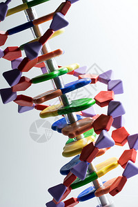 科学研究实验室的分子DNA和原模型医学的高清图片素材