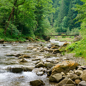 山河的伍德桥喀尔巴阡山风景图片