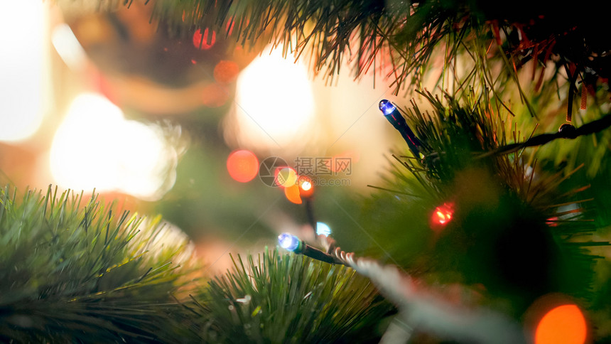 Glowing圣诞树枝上的宏图Fir树枝上的光亮圣诞树枝上的光亮宏图glowing圣诞树枝上的光亮宏图图片