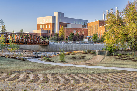 科罗拉多州立大学电力厂能源校区背景的科罗拉多福特柯林科罗拉多市中心Poudre河新建白水公园中的自然草和植被景观和恢复背景图片