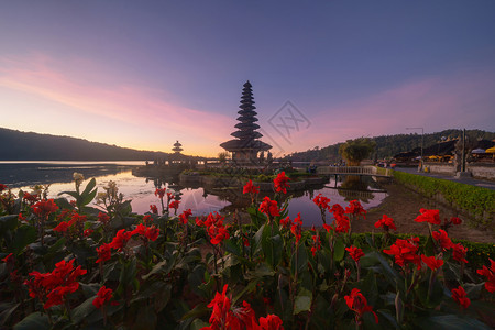 巴厘岛的UlunDanuBratanTemple红花和湖图片