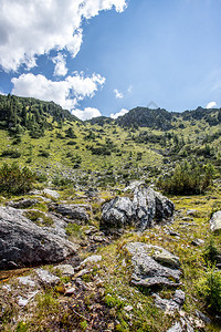 阿尔卑斯山的长小溪流山地风景图片