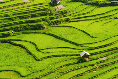 稻田梯MuCangChaiYenBai农村或地区绿色业田亚洲和越南日落时山峰谷的空中最高景象自然观背泰国高清图片素材