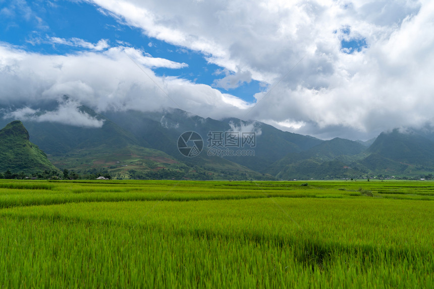 稻田梯MuCangChai农村或地区绿田YenBai越南亚洲日落时山丘谷自然景观背图片