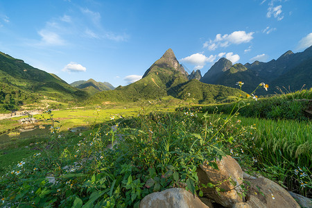 夏日的芬西潘山谷在旅行和假期概念中带鲜花和蓝天空越南萨帕风景背最高高清图片素材