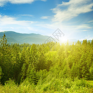 太阳落山夏天是喀尔巴阡山户外的高清图片素材