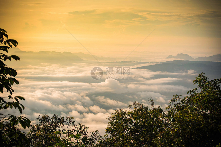 日出雾覆盖了山林景观黄天空背图片
