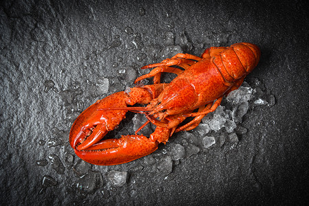 红龙虾海深的背红冰面海鲜虾图片