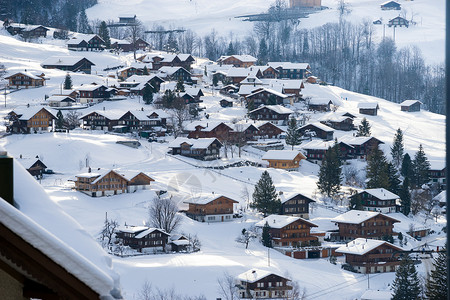 冬天的山瑞士山丛林森滑雪胜地背景