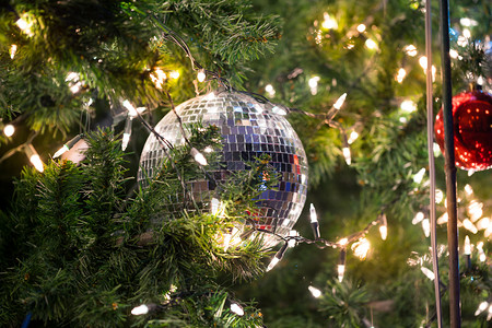 圣诞舞会在树上装饰图片