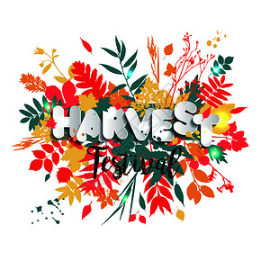 十月来看你字体设计感恩节快乐字体设计贺卡插画