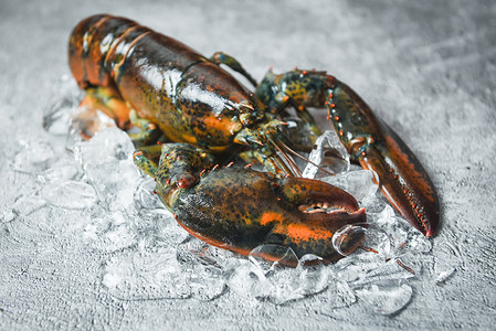 在海鲜餐厅的新龙虾贝类用于烹饪食品在黑石桌顶端的冰上生龙虾背景图片