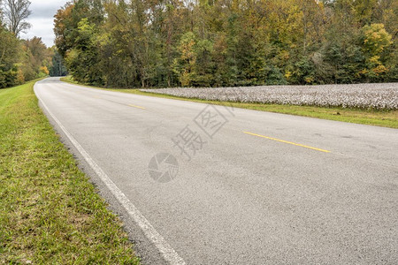 田纳西州NatchezTraceNationalParkway沿线的颜色背景图片