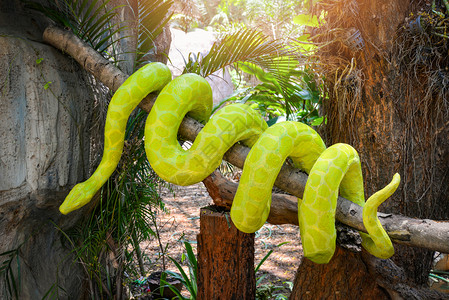 后裔斩巴蛇蛇雕像树枝上的绿色巨牛自然公园上的树枝背景