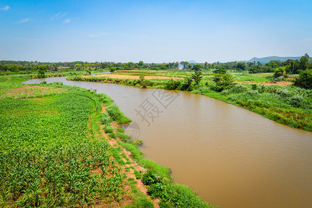 在河岸种植绿色玉米田的河流景观农业并有山丘和地背景背景图片
