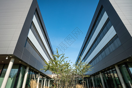 现代办公大楼面对清蓝的天空背景图片
