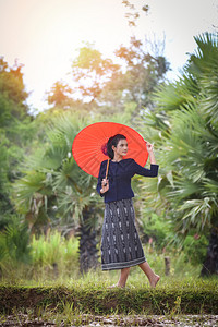 雨伞矢量稻田美丽的年轻女肖像在农村乡手区持伞子女活人着装部落背景