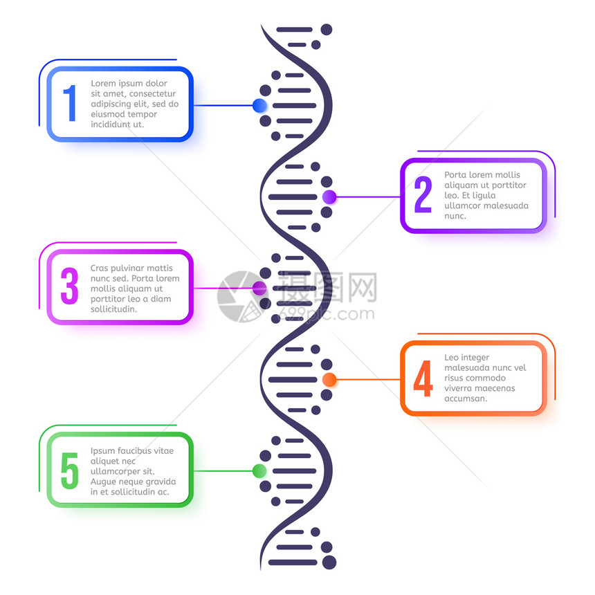 DNA分子概念抽象图表分子螺旋体结构科学计划生物遗传染色体矢量系统信息学概念演示设计元素海报模板分子螺旋体结构科学计划演示布局设图片