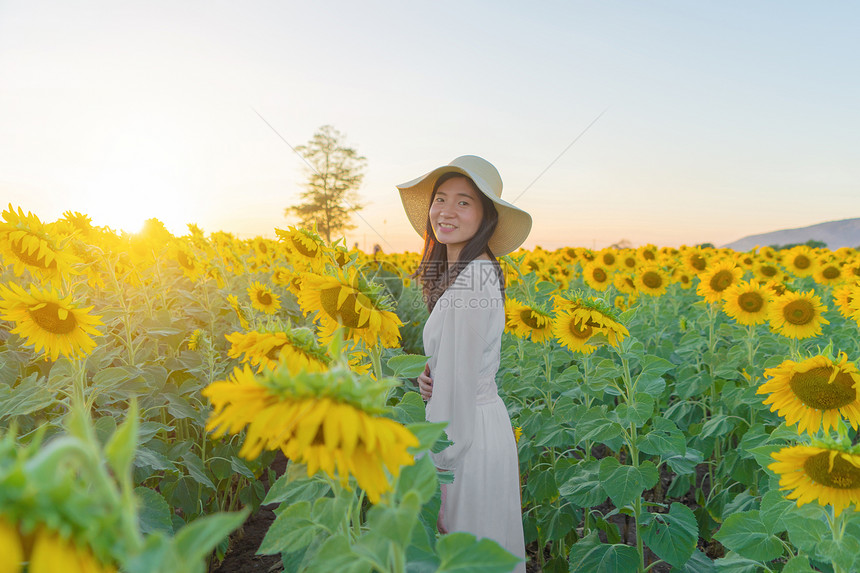 在泰国Lopburi自然花园公的节假日外出旅行中快乐的亚洲女在盛开的向日葵田中享受和放松图片