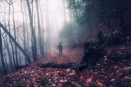 深雾森林有灯的男子图片