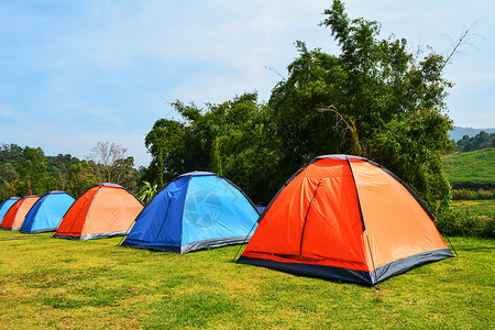 在草地上一排露营帐篷图片