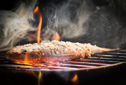 烧烤鱼关闭海鲜烤食品烧炉火上加盐深底烟雾高清图片